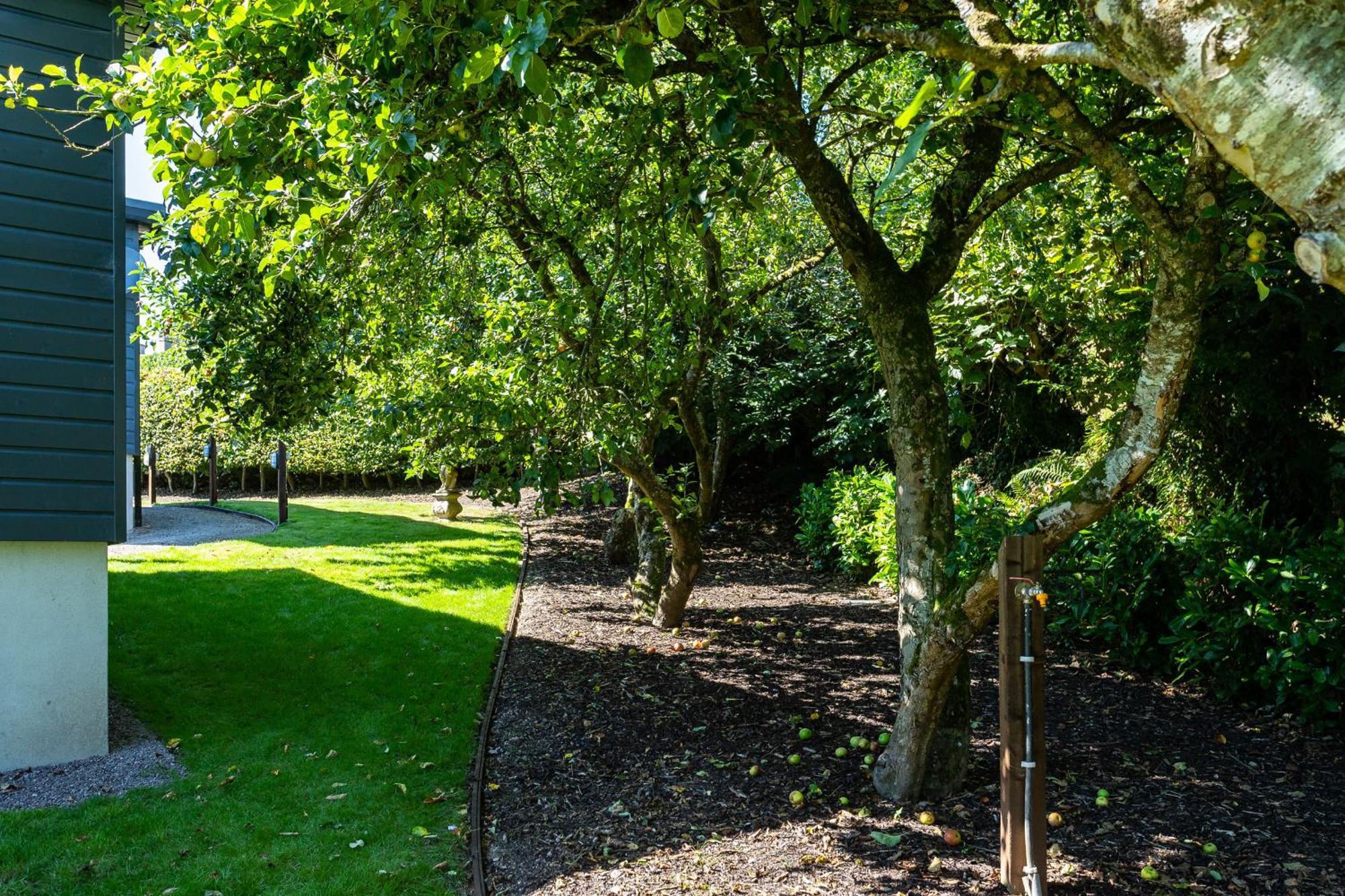 The Loft, Apple Lodge & Blossom Lodge Macroom Luaran gambar