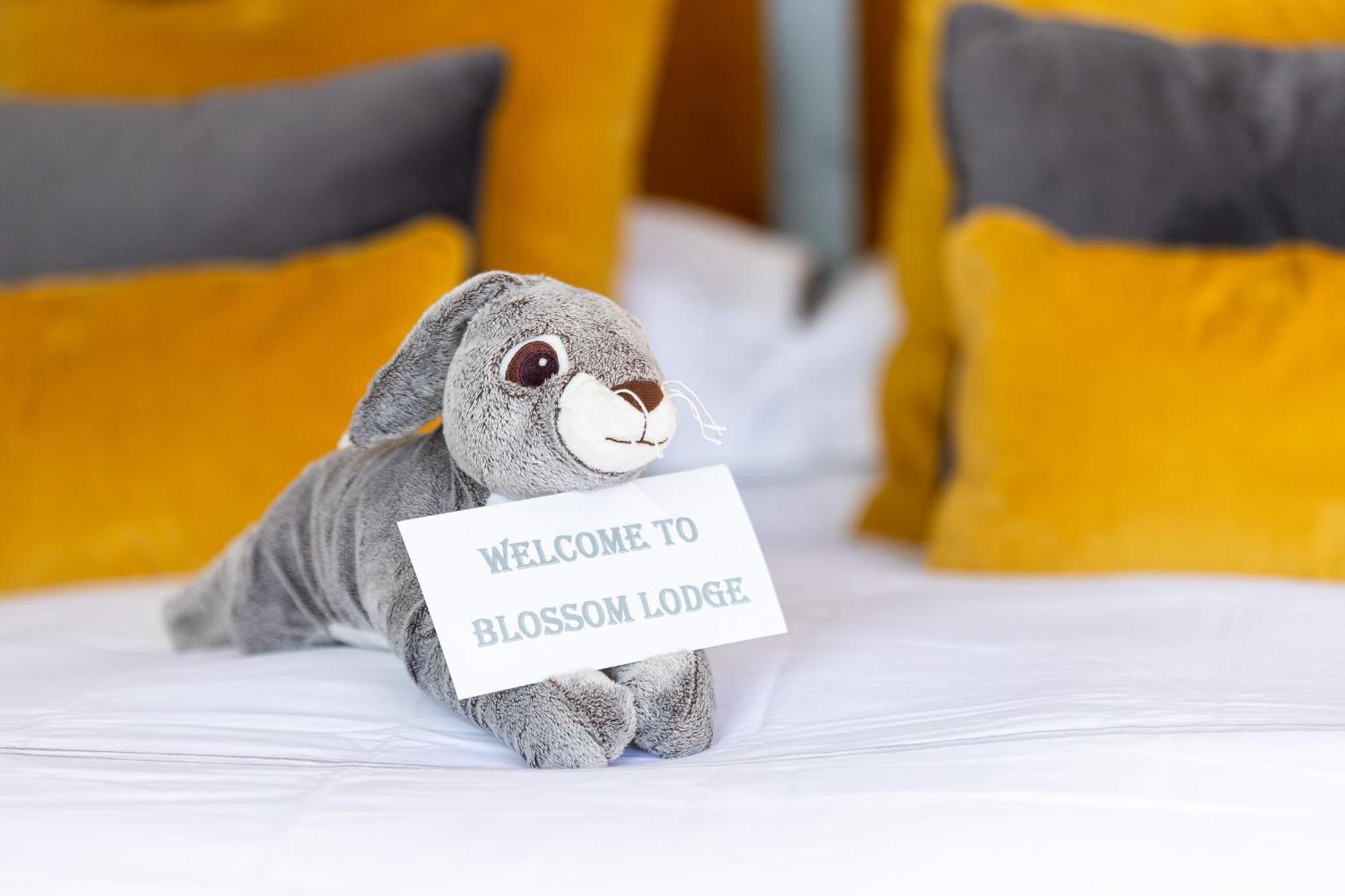 The Loft, Apple Lodge & Blossom Lodge Macroom Luaran gambar